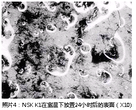 照片4：NSK K1在室溫下放置24小時后的表面（X10）